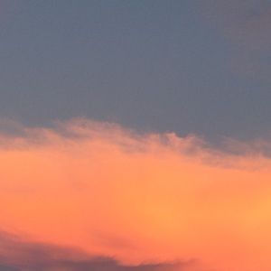 Meet your Posher, Rose